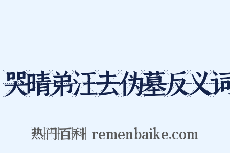 哭晴弟汪去伪墓反义词是什么意思的图片